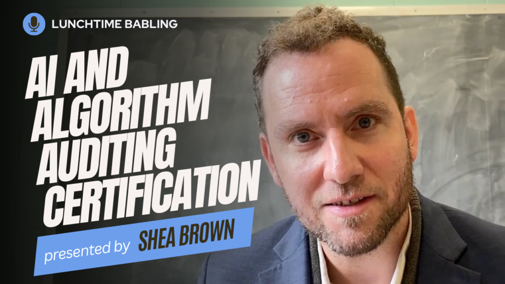 AI and Algorithm Auditing Certificate | Lunchtime BABLing 25 - BABL AI