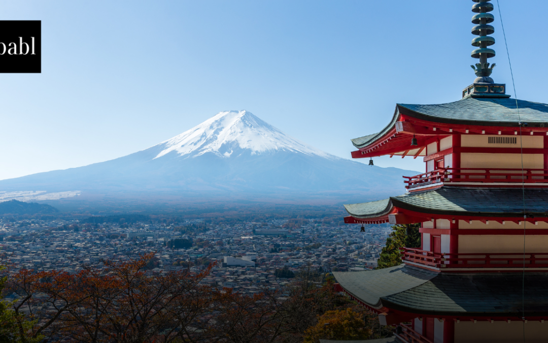 Japan Launches AI Safety Institute