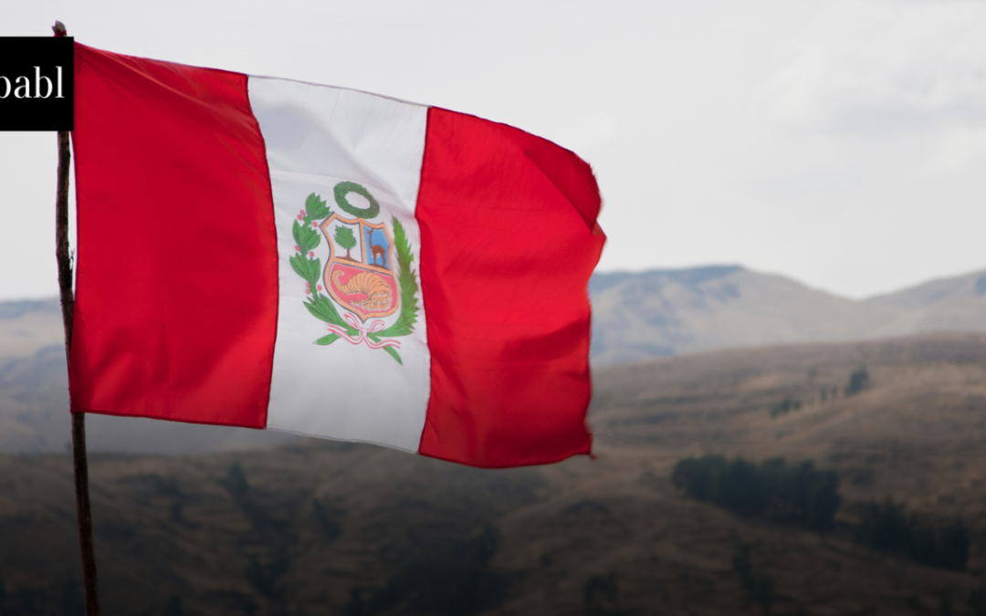 Peru Proposes Comprehensive AI Regulation