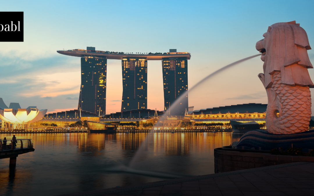 Singapore Releases Advisory Guidelines on Personal Data Protection