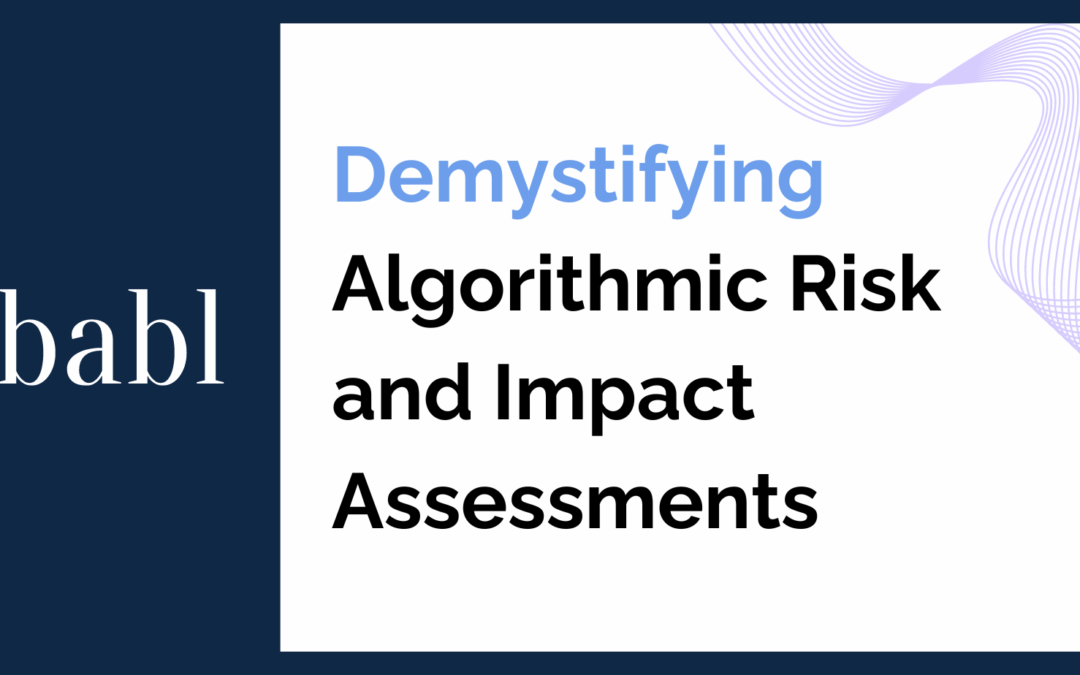 Demystifying Algorithmic Risk and Impact Assessments