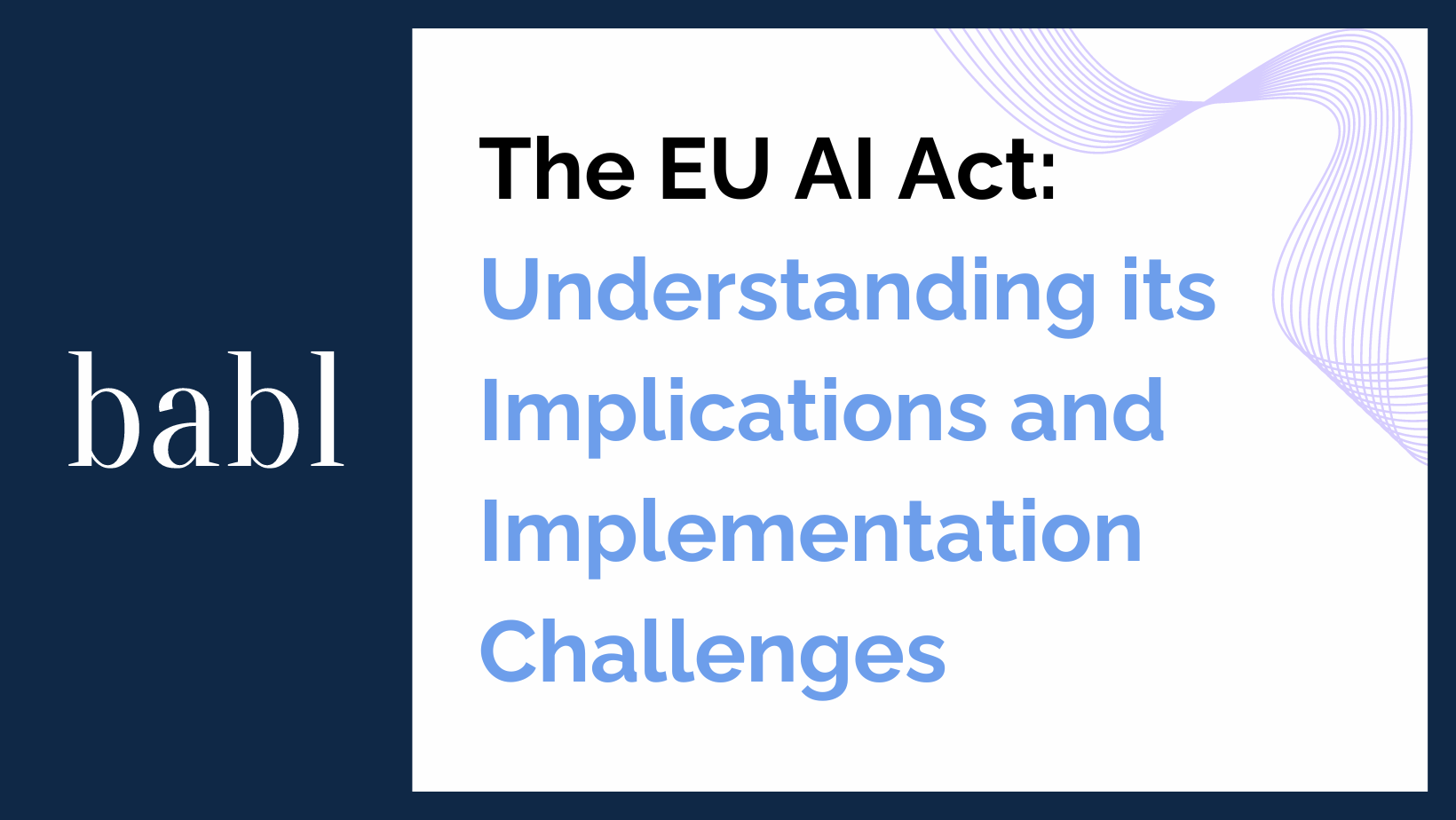 The EU AI Act: Understanding its Implications and Implementation Challenges