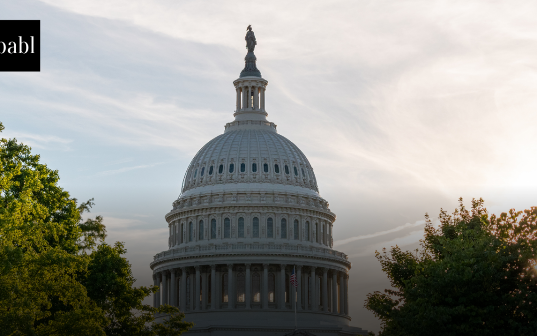 U.S. House Introduces AI Incident Reporting and Security Enhancement Act, Tasking NIST with Updating AI Vulnerability Guidelines