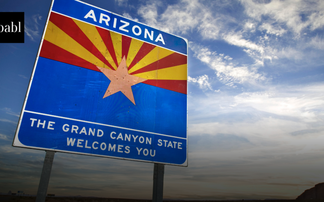 Arizona Sets Guardrails for Government Use of Generative AI