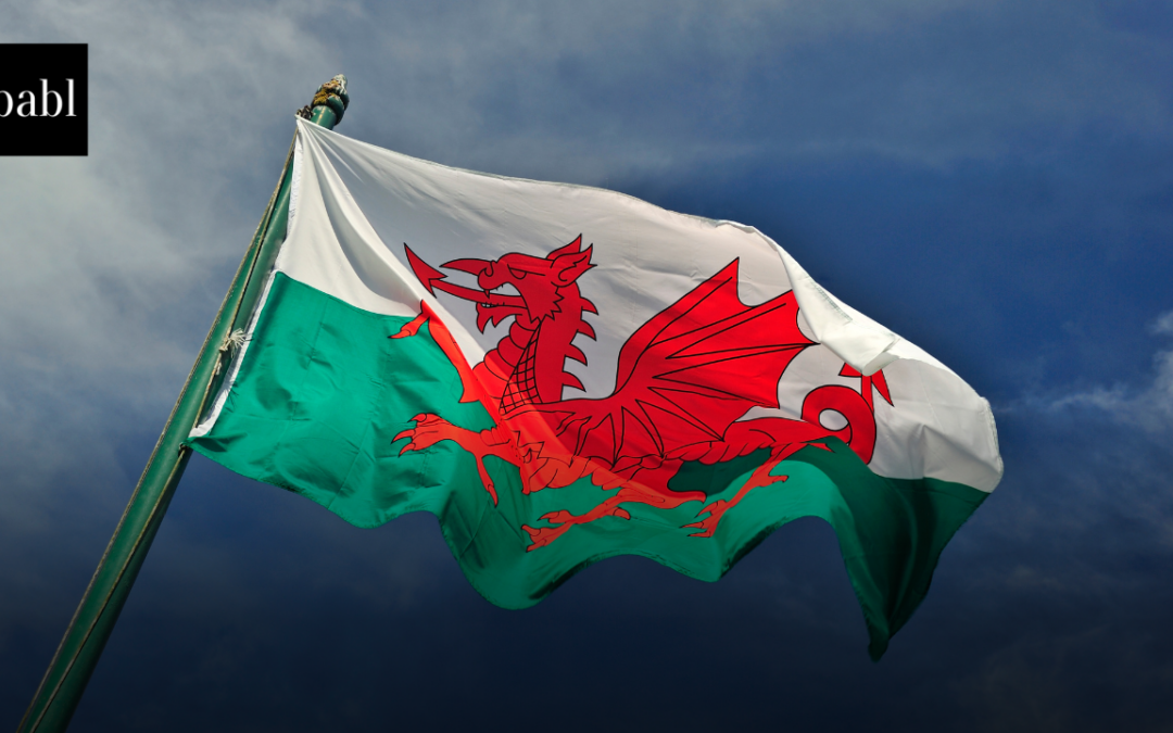 Welsh Public Sector Explores AI Integration Amid Hopes and Ethical Concerns