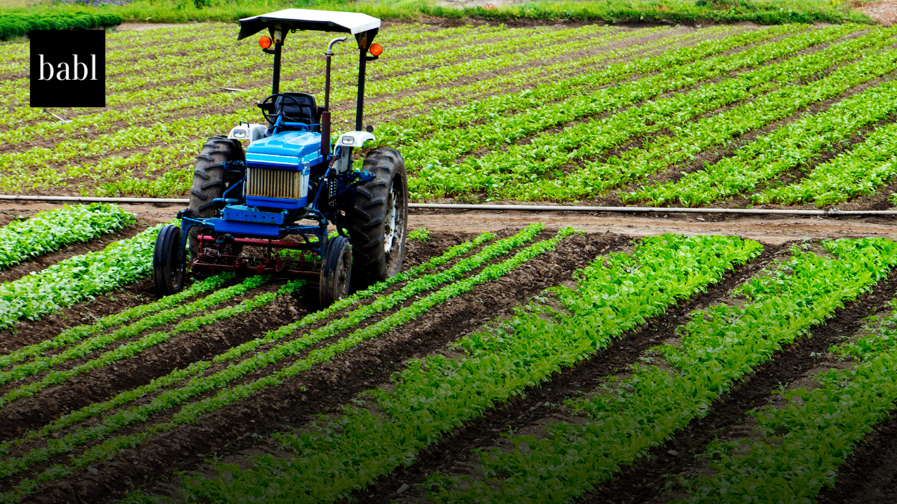 USDA Unveils Comprehensive AI Strategy to Revolutionize Agriculture