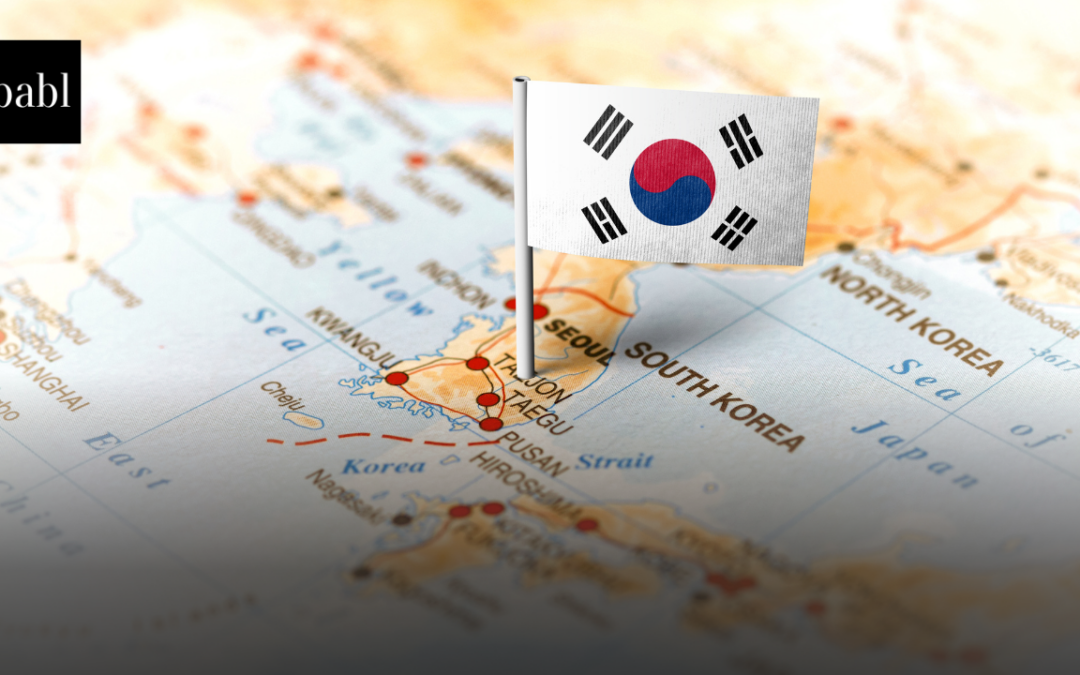 South Korea Faces Human Rights Concerns Over Expanding Public Sector Use of AI