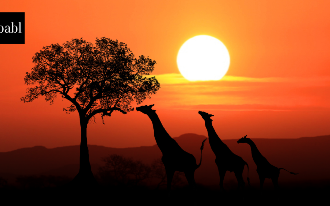 South Africa’s G20 Presidency Calls for Inclusive Digital Future
