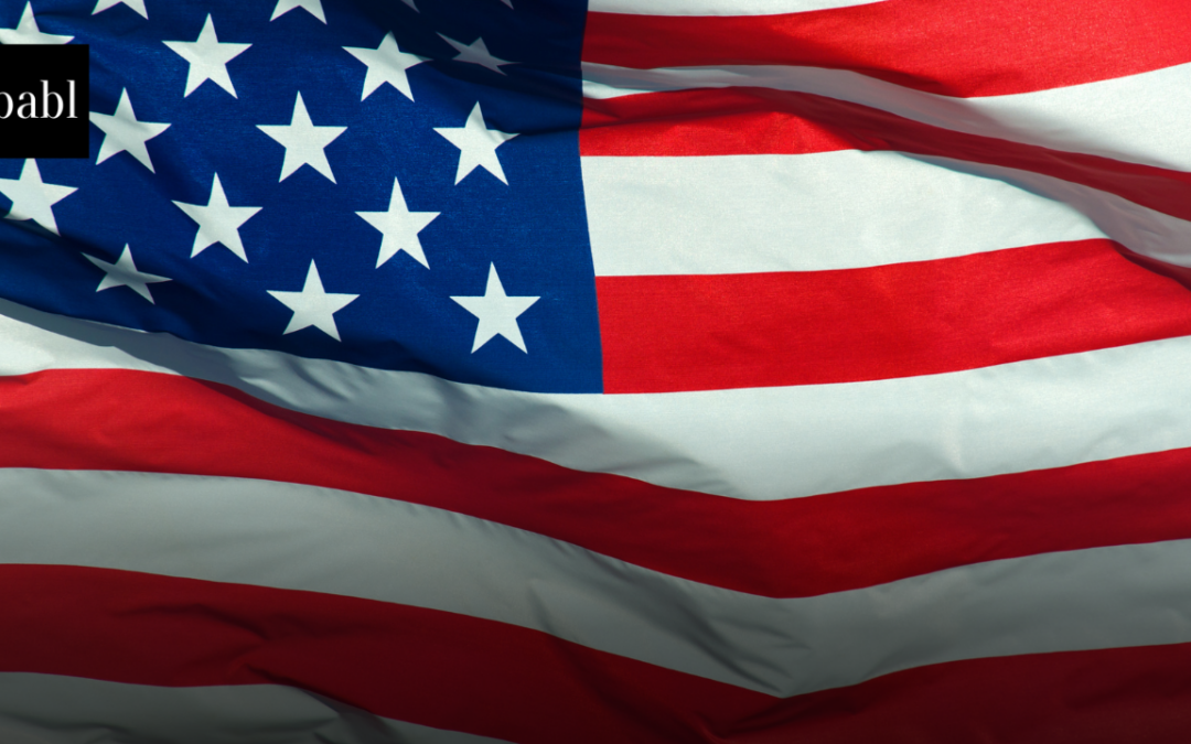 U.S. Copyright Office Releases Pre-Publication Report on AI Training and Copyright Law