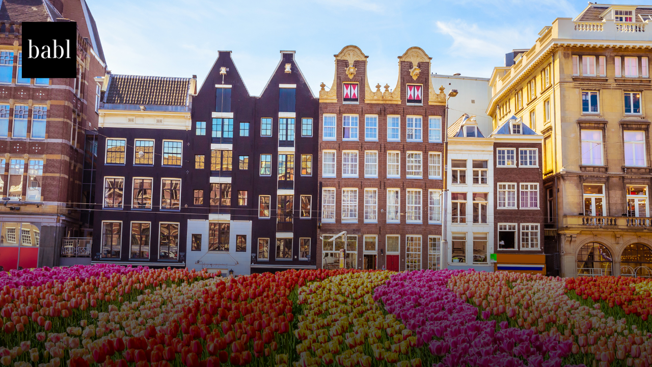 Netherlands Pledges €70M to Build AI Research Hub in Groningen
