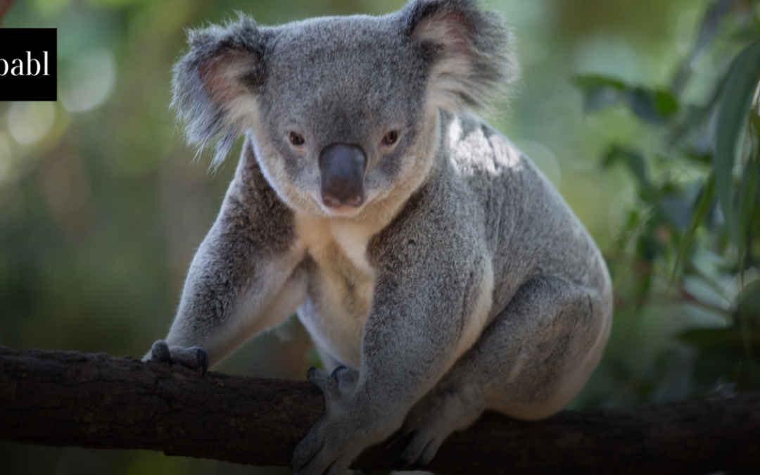 Australia’s AI Ecosystem Expands, Balancing Global Integration with Local Innovation