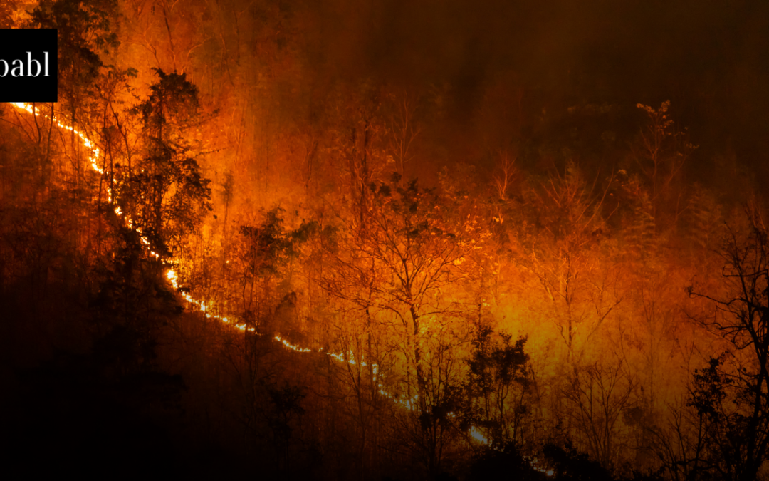 AI-Driven Tools Take Center Stage in U.S. Wildfire Forecasting and Response, GAO Finds