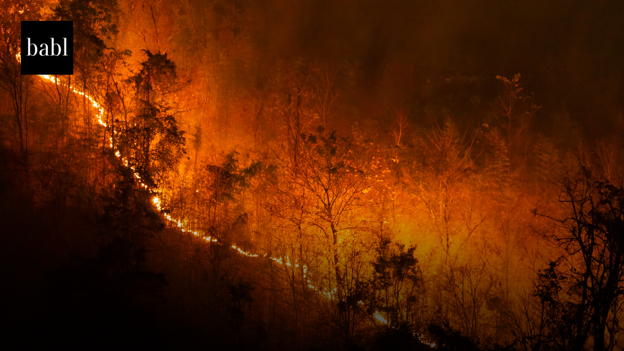 AI-Driven Tools Take Center Stage in U.S. Wildfire Forecasting and Response, GAO Finds