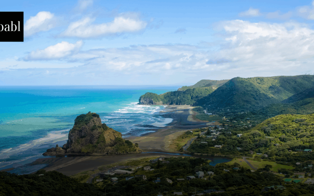 New Zealand Establishes AI Advisory Panel to Guide Public Sector Use