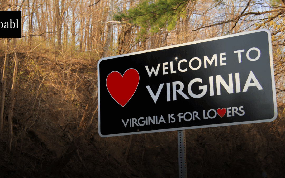 Virginia Becomes First State to Launch AI-Driven Regulatory Review Initiative