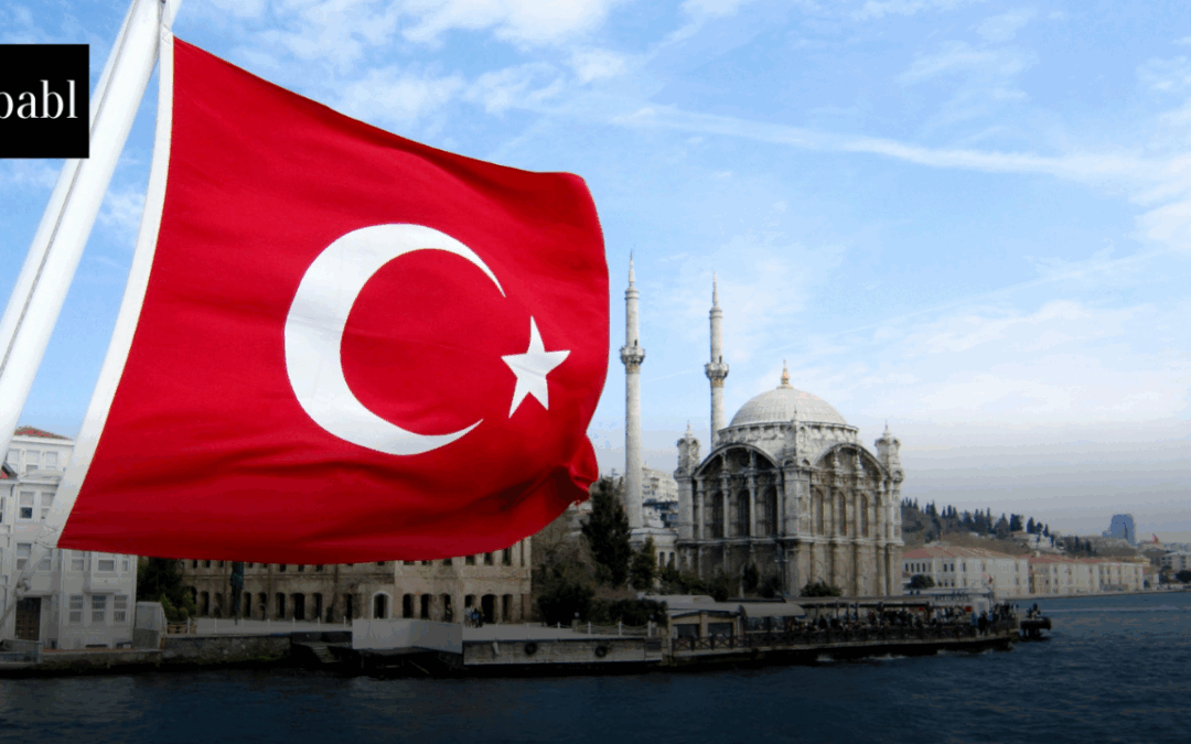 Turkey Bans Elon Musk’s AI Chatbot Grok Over Insults to Erdogan and Atatürk