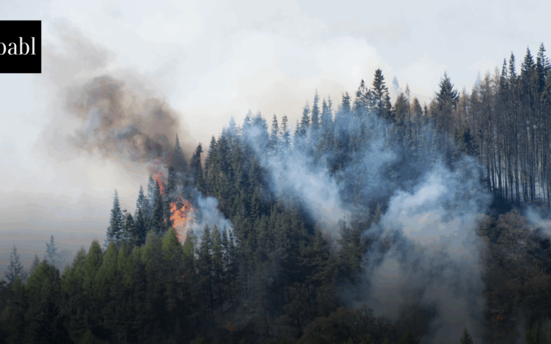 Governor Newsom Launches ‘LA Rises’ Campaign and AI Tool to Support Wildfire Recovery