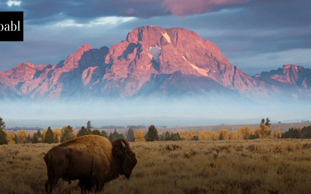 AI Data Center in Cheyenne to Use More Power Than All Wyoming Homes Combined