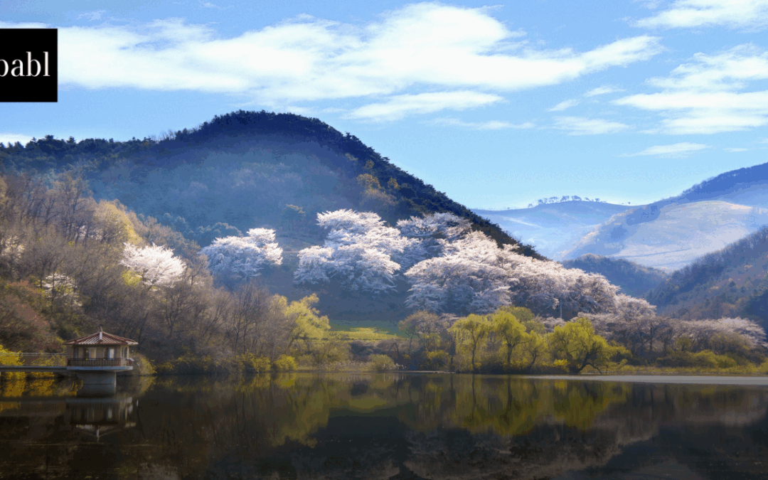 South Korea Selects Five Elite Teams for National AI Foundation Model Project