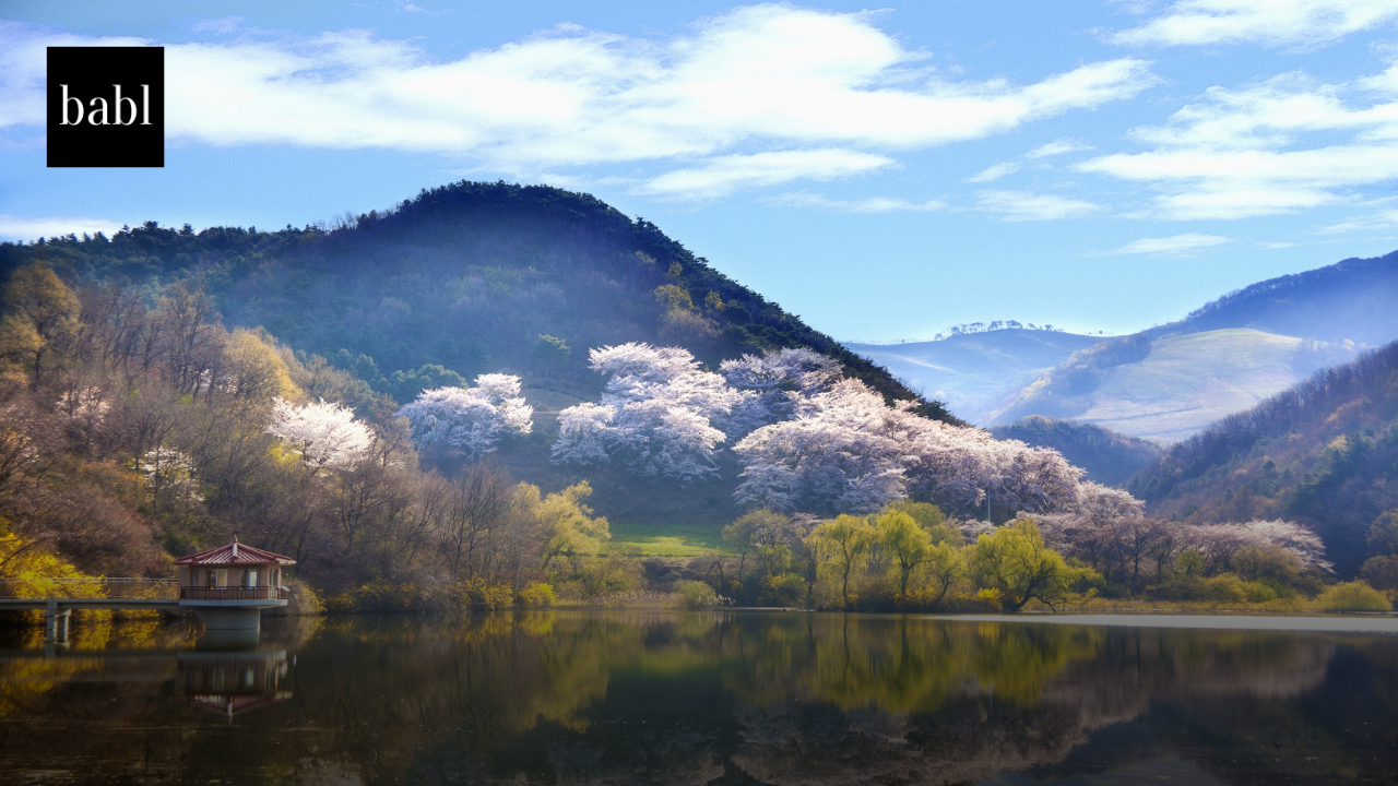 South Korea Selects Five Elite Teams for National AI Foundation Model Project