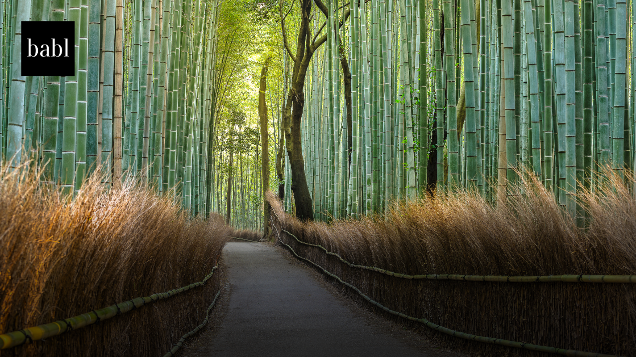 Nikkei and Asahi Sue Perplexity AI in Japan Over Copyright, Seek $30M in Damages