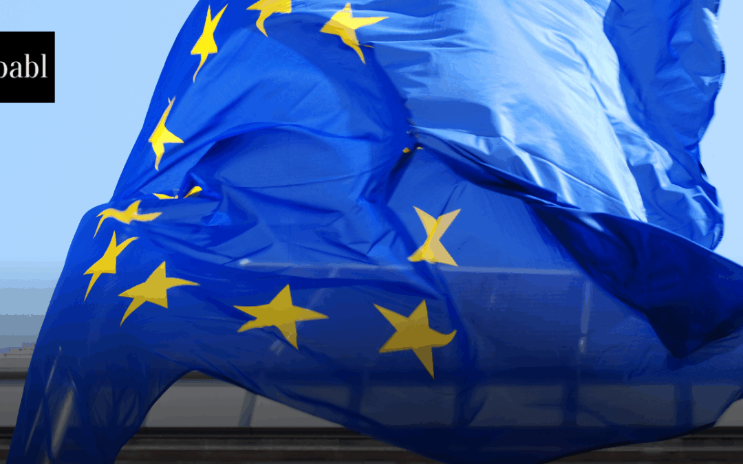 EU Commission Launches AI Act Service Desk and Information Platform to Support Implementation