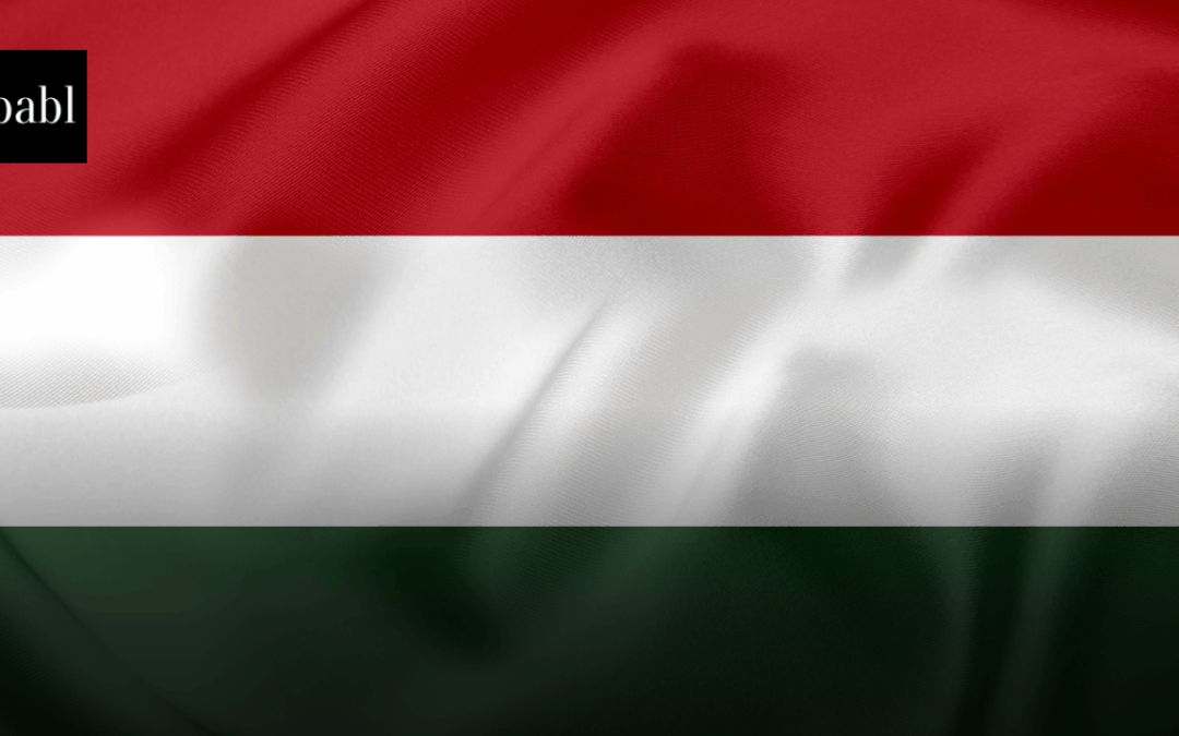 Hungary Enacts First AI Law, Aligning with EU Rules and Establishing National Oversight Council
