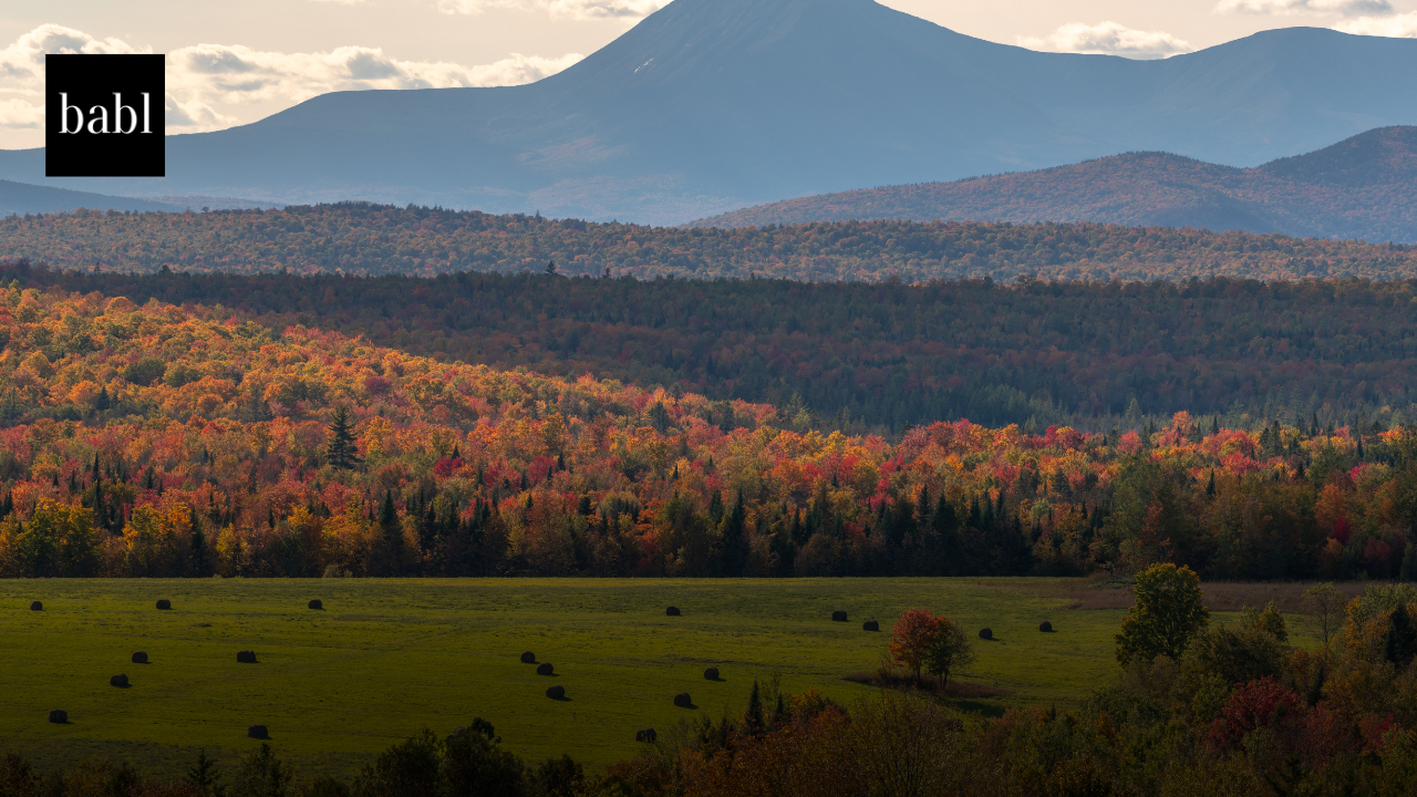 Maine Task Force Calls for Aggressive, Statewide Strategy on Artificial Intelligence