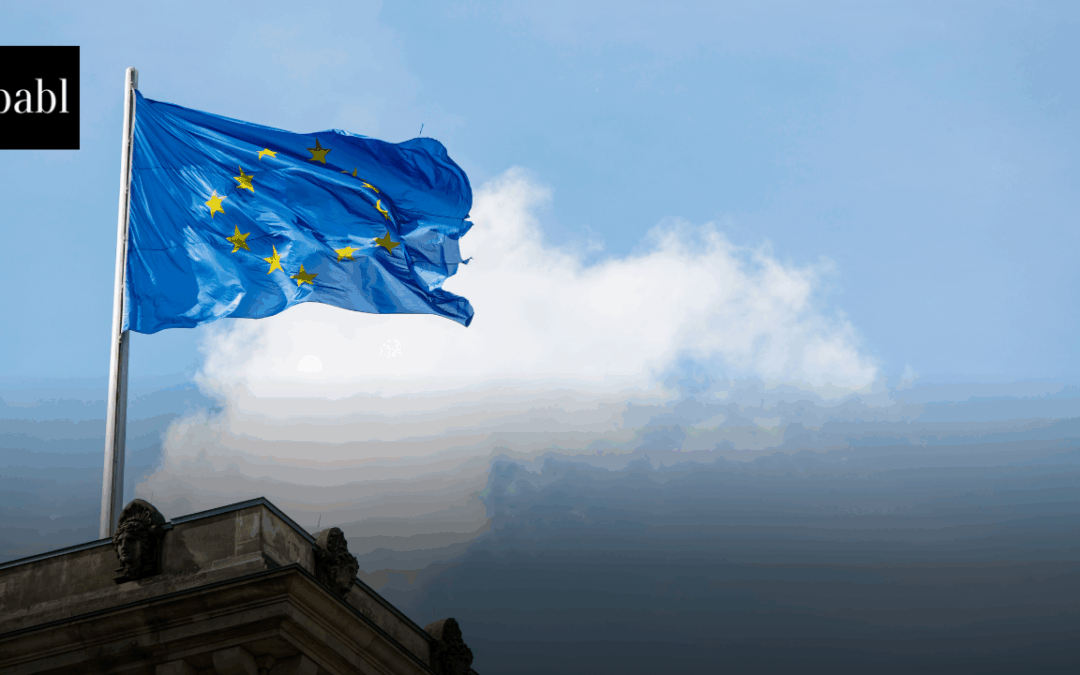 EU Watchdog Issues Comprehensive Guidance to Curb AI Risks Across Institutions