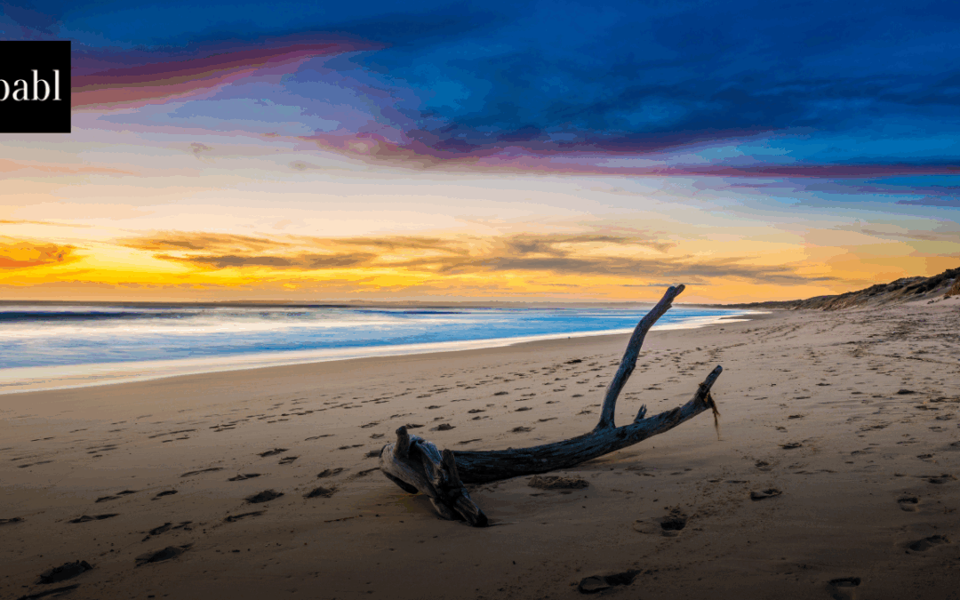 Australia Launches National AI Safety Institute to Oversee Emerging Risks and Strengthen Protections