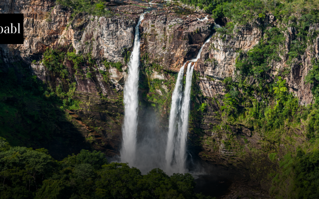 Brazil’s Data Protection Authority Sets New Oversight Priorities, Adds Age Verification to Regulatory Agenda
