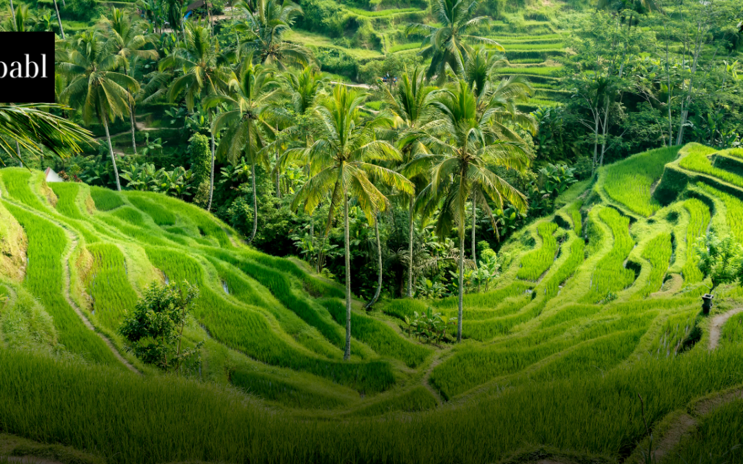 Indonesia Restores Grok Access Under Strict Oversight After X Commits to Compliance