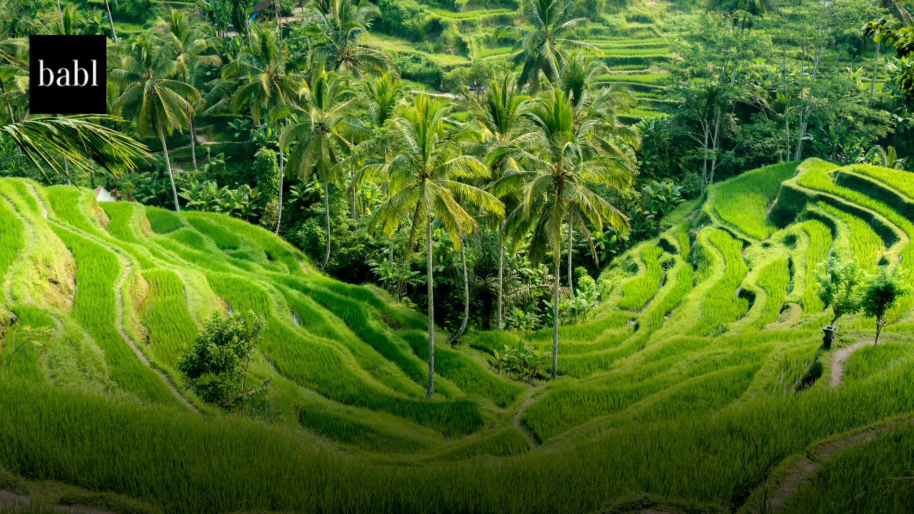 Indonesia Restores Grok Access Under Strict Oversight After X Commits to Compliance