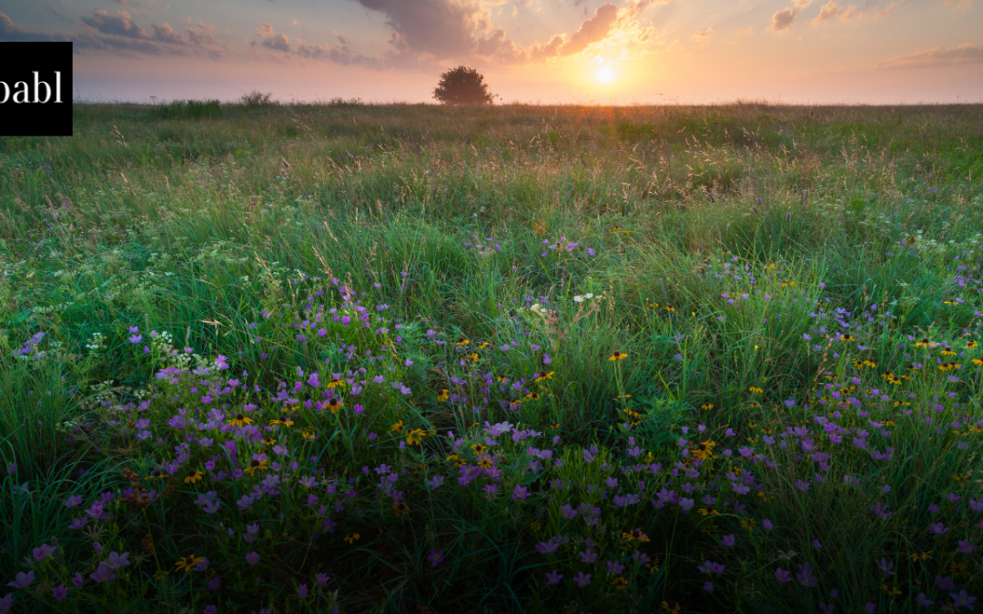 Oklahoma Enacts Sweeping Data Privacy Law, Expanding Consumer Rights by 2027
