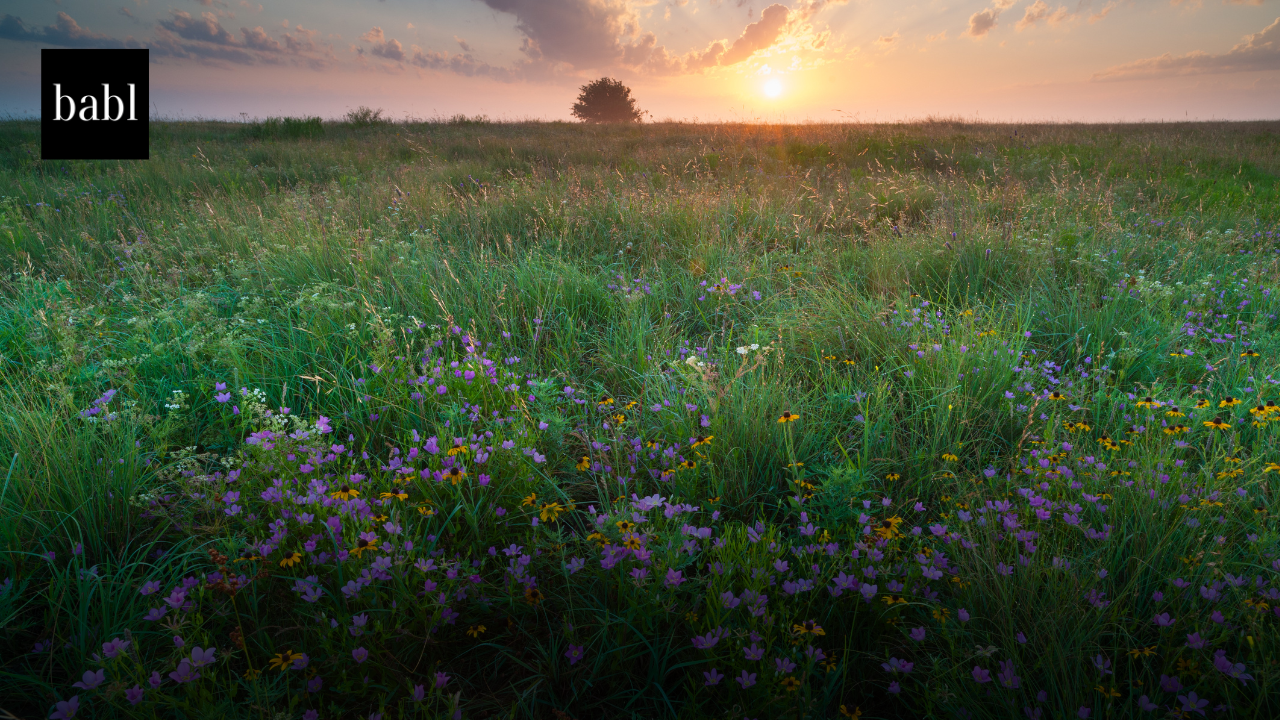 Oklahoma Enacts Sweeping Data Privacy Law, Expanding Consumer Rights by 2027